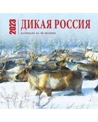 Дикая Россия. Календарь настенный на 16 месяцев на 2023 год (300х300 мм)