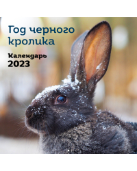 Год черного кролика. Календарь настенный на 2023 год (300х300)