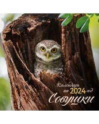 Совушки. Календарь настенный на 2024 год (300х300 мм)