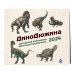 ДиноДюжина. Авторский календарь Дмитрия Токальчика. Календарь настенный на 2024 год (300х300 мм)