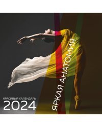 Яркая анатомия. Календарь настенный на 2024 год (300х300)