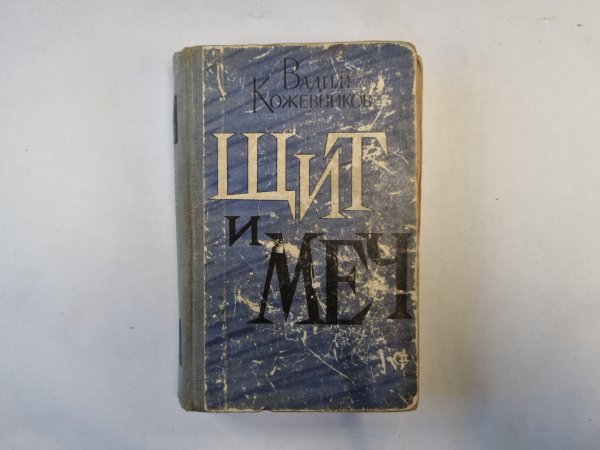 Щит и меч. Книга 1