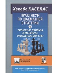 Практикум по шахматной стратегии-1.Типичные приёмы и манёвры:отдельные фигуры (6+)