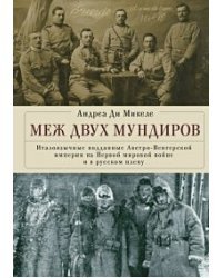 Меж двух мундиров.Италоязычные подданые Австро-Венгерской империи на Первой Мировой