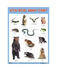 Кто всю зиму спит?