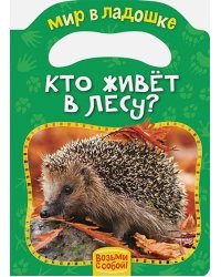 Кто живет в лесу?