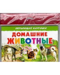 Домашние животные (в европакете) (0+)