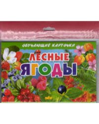 Лесные ягоды (в европакете)