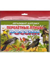 Перелетные птицы России (в европакете)