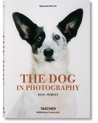 The Dog in Photography 1839–Today