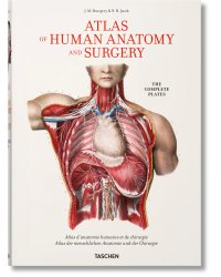 Bourgery. Atlas of Human Anatomy and Surgery