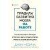 Правила развития мозга на работе. Как испытывать меньше стресса и быть продуктивнее, работая в офисе или дома