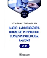 Macro- and microscopic diagnosis in practical classes in pathological anatomy