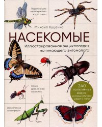 Насекомые. Иллюстрированная энциклопедия начинающего энтомолога. 240 популярных видов, которые обитают рядом с нами