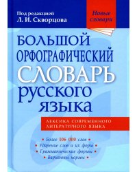 Большой орфографический словарь русского языка