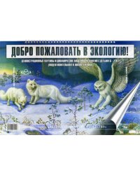 Добро пожаловать в экологию!6-7л.Демонстр.картины и динам.модели для занят.с детьми.Подгот.гр.(ФГОС