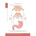 Pharmacology. Illustrated textbook