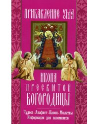 Икона Пресвятой Богородицы &quot;Прибавление ума&quot;. Чудеса. Акафист. Канон. Молитвы