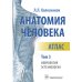 Анатомия человека.Т.3.Неврология, эстезиология