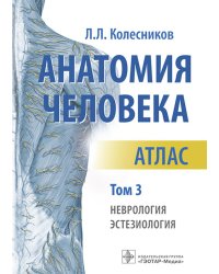 Анатомия человека.Т.3.Неврология, эстезиология