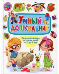 Умный дошкольник. Интеллектуальное развитие детей от 5 до 7 лет