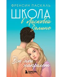 Школа в Ласковой Долине. Всю ночь напролет (Книга № 5)