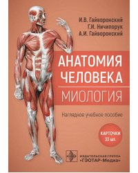 Анатомия человека. Миология. Комплект карточек. Наглядное учебное пособие