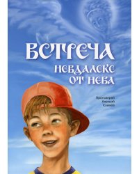 Встреча невдалеке от неба