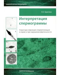 Интерпретация спермограммы. Структура и функция сперматозоидов в норме и при нарушении фертильности