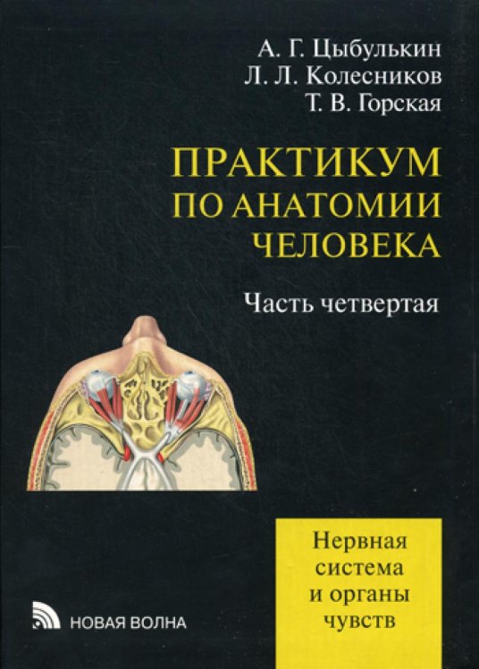 Практикум по анатомии человека. Часть 4. Нервная система и органы чувств