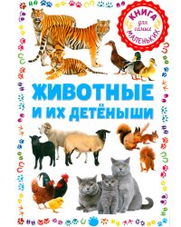 Животные и их детёныши. Книга для самых маленьких