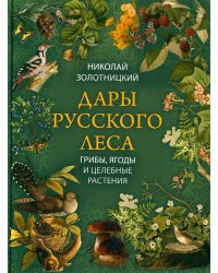 Дары русского леса. Грибы, ягоды и целебные растения