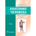 Анатомия человека: Учебник. В 2 т. Т. 1