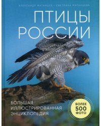 Птицы России. Большая иллюстрированная энциклопедия