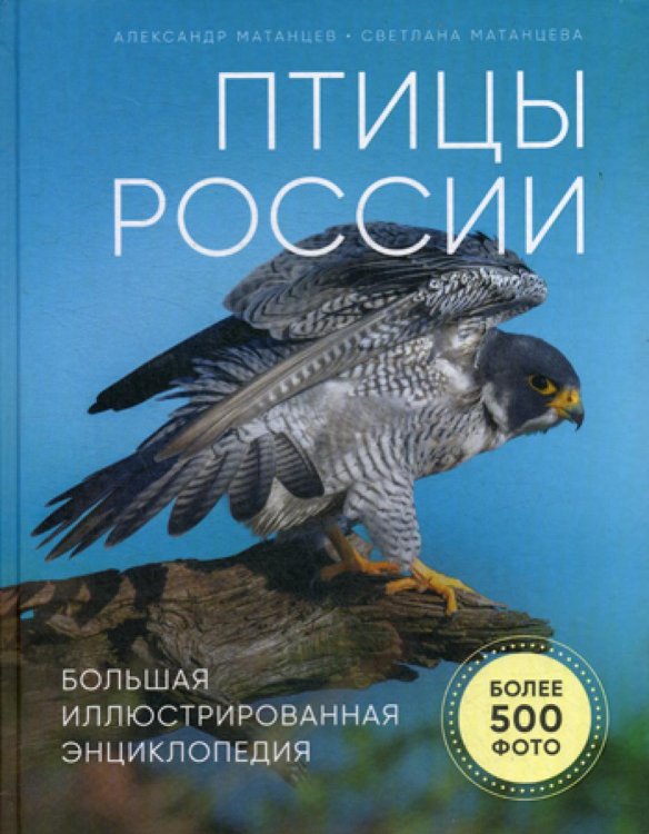 Птицы России. Большая иллюстрированная энциклопедия