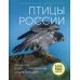 Птицы России. Большая иллюстрированная энциклопедия