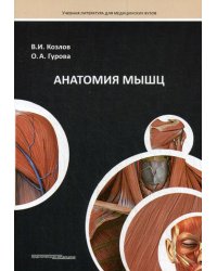 Анатомия мышц. Учебное пособие