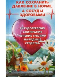 Как сохранить давление в норме, а сосуды здоровыми. Гирудотерапия, апитерапия, лечение грязями