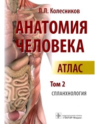 Анатомия человека: атлас: В 3 т. Т. 2. Спланхнология