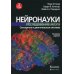 Нейронауки. Исследование мозга. Том 2. Сенсорные и двигательные системы