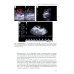 УЗИ в ветеринарии. Мелкие домашние животные. Органы брюшной полости; Репродуктивная система самок и самцов. Беременность (комплект из 2-х книг)