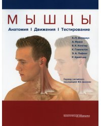 Мышцы. Анатомия. Движения. Тестирование