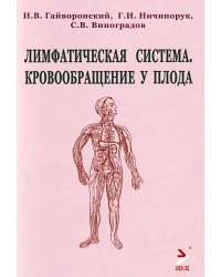 Лимфатическая система. Кровообращение у плода. Учебное пособие