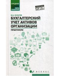 Бухгалтерский учет активов организации: практикум