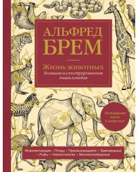 Жизнь животных. Большая иллюстрированная энциклопедия