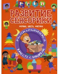 Развитие сенсорики. Формы, цвета, фигуры