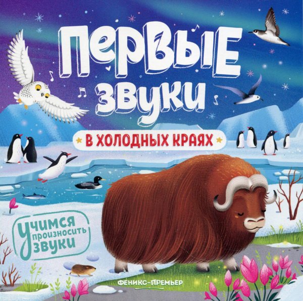 В холодных краях. Книжка-гармошка