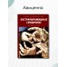 Экстрапирамидные синдромы. Руководство для врачей