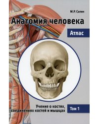 Анатомия человека. Атлас. В 3-х томах. Том 1. Учение о костях, соединениях костей и мышцах