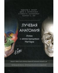 Лучевая анатомия. Атлас с иллюстрациями Неттера